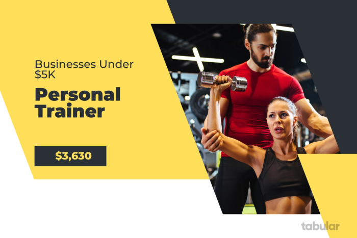 Business under 5k - personal trainer.